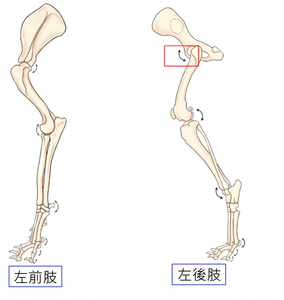 關節角度