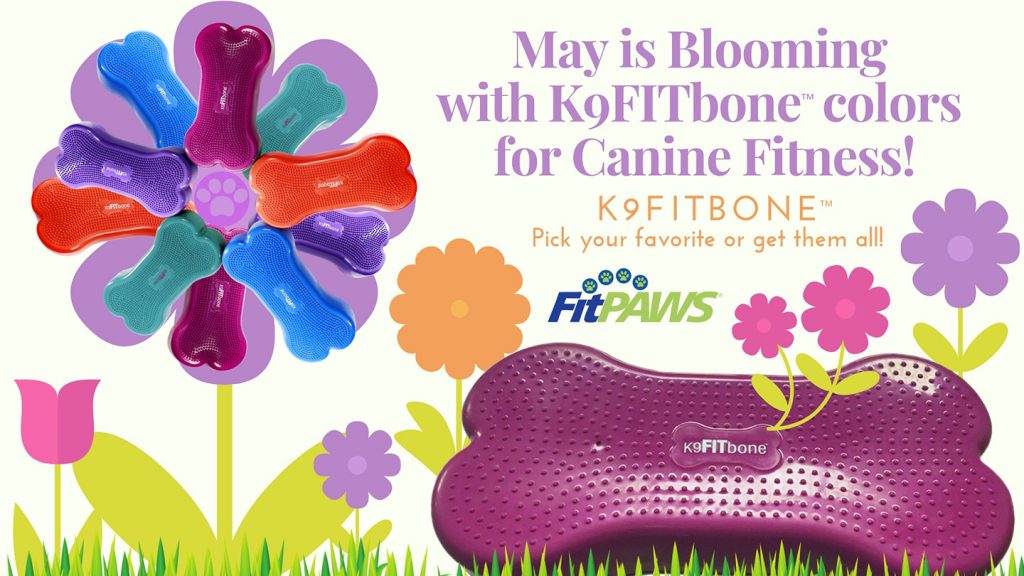 K9FITbone™ 骨型復健軟墊